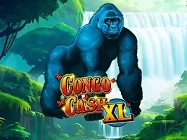 คอนโก แคช XL game thumbnail